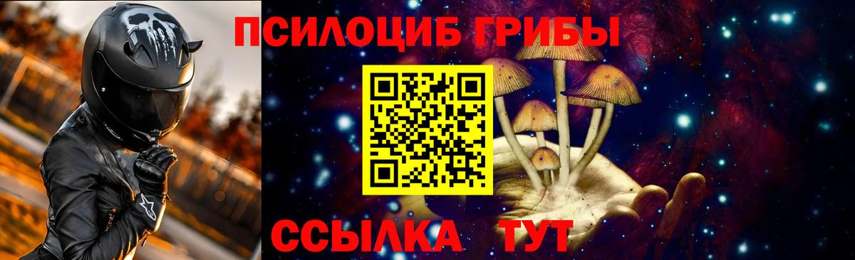 Керчь  Псилоцибиновые грибы Cubensis  Вход с VPN 